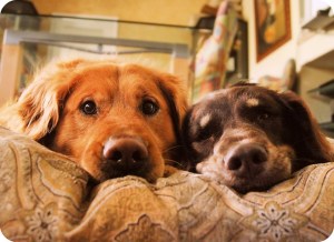 We can do this together.